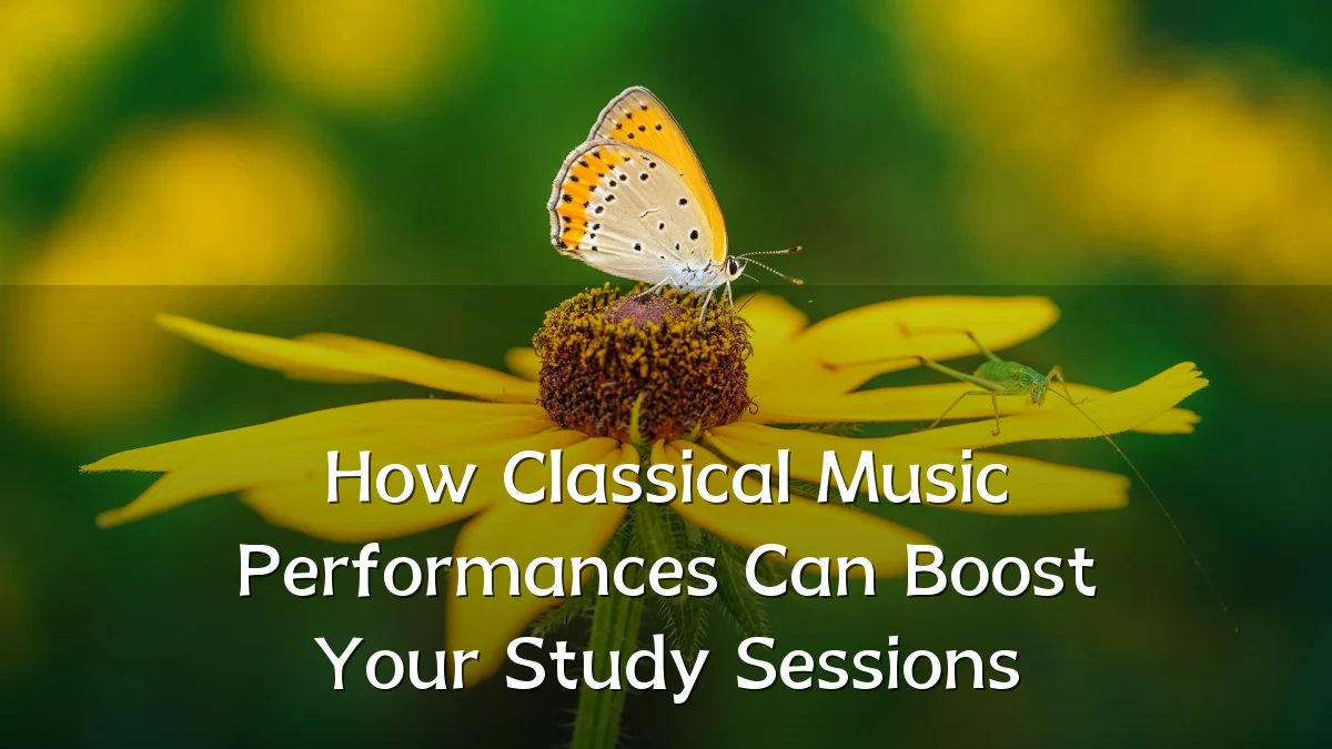 How Classical Music Performances Can Boost Your Study Sessions