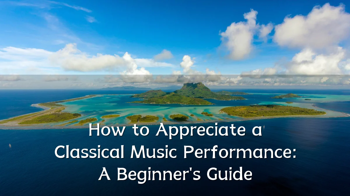 How to Appreciate a Classical Music Performance: A Beginner's Guide