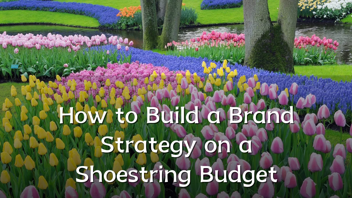 How to Build a Brand Strategy on a Shoestring Budget