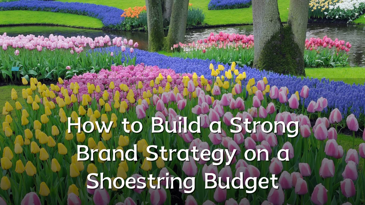 How to Build a Strong Brand Strategy on a Shoestring Budget