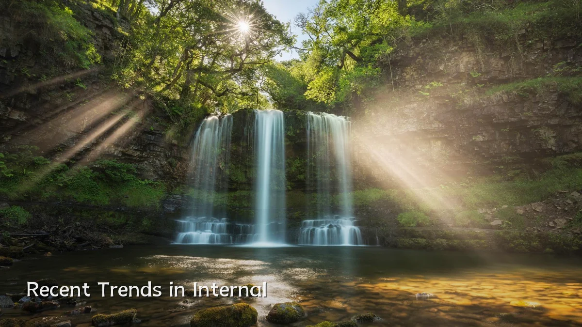 Recent Trends in Internal