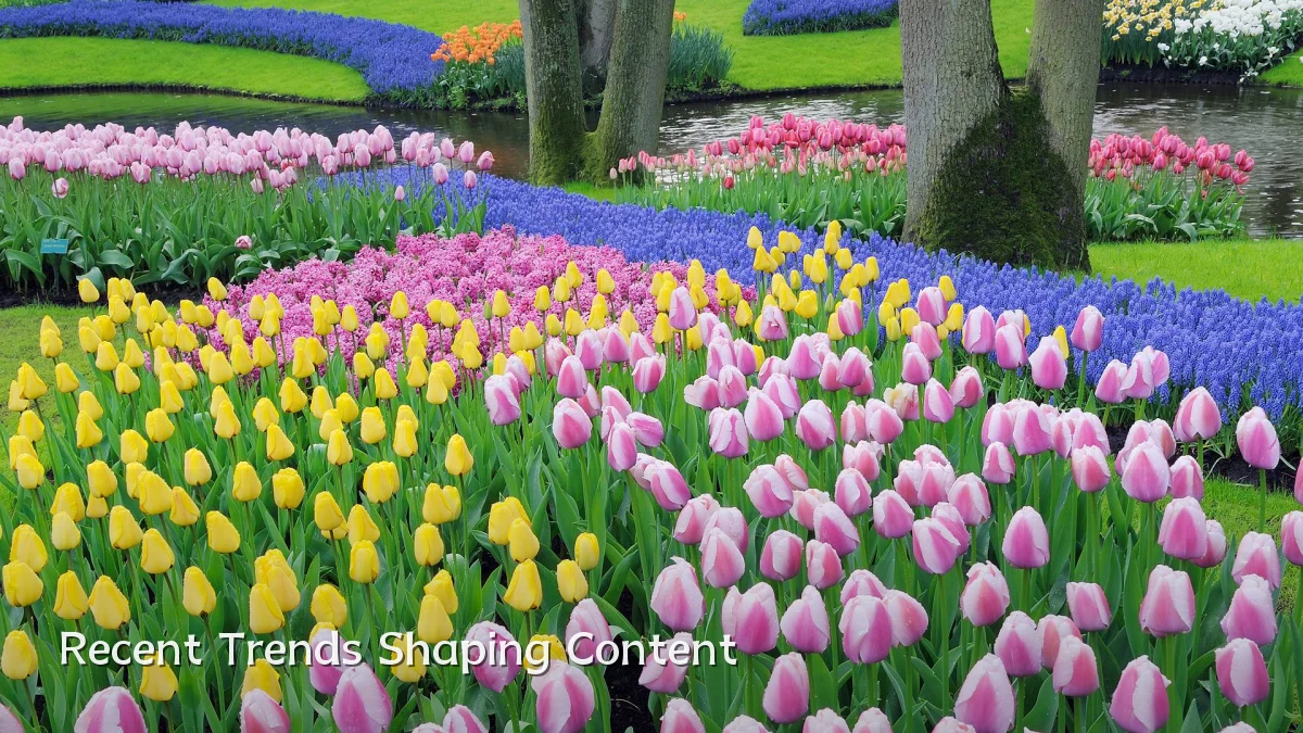 Recent Trends Shaping Content