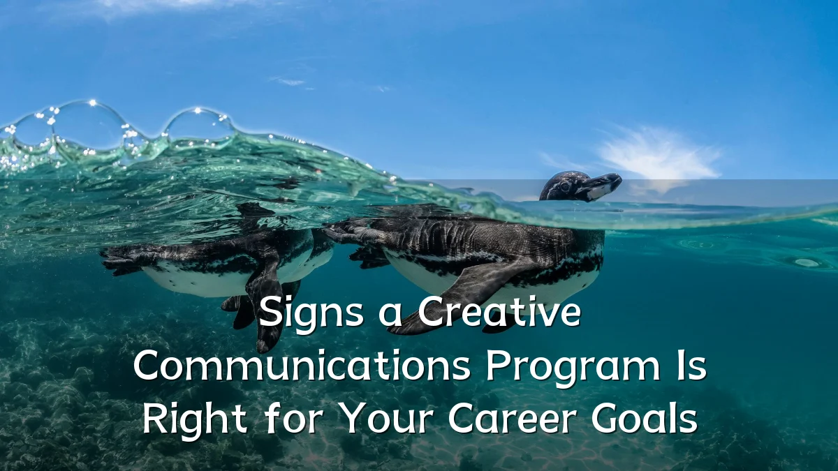 Signs a Creative Communications Program Is Right for Your Career Goals