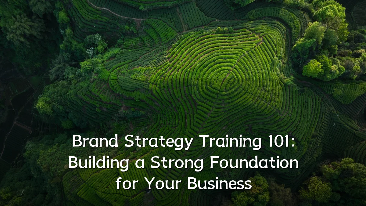 Brand Strategy Training 101: Building a Strong Foundation for Your Business