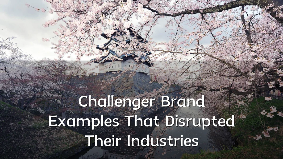 Challenger Brand Examples That Disrupted Their Industries