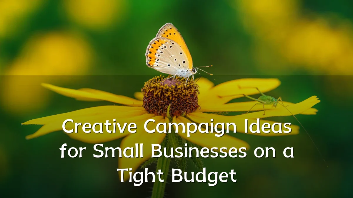 Creative Campaign Ideas for Small Businesses on a Tight Budget
