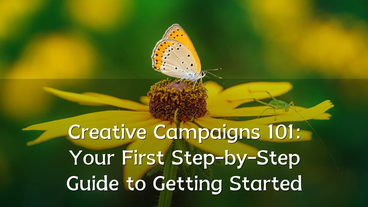 Creative Campaigns 101: Your First Step-by-Step Guide to Getting Started