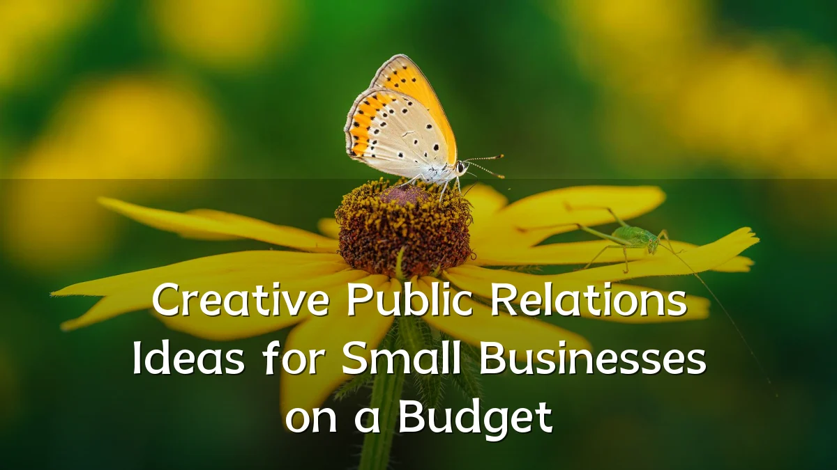 Creative Public Relations Ideas for Small Businesses on a Budget