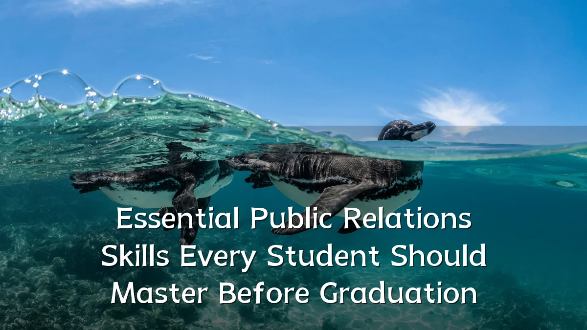 Essential Public Relations Skills Every Student Should Master Before Graduation