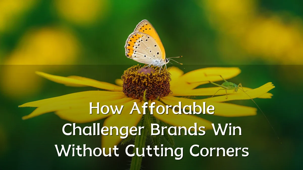 How Affordable Challenger Brands Win Without Cutting Corners