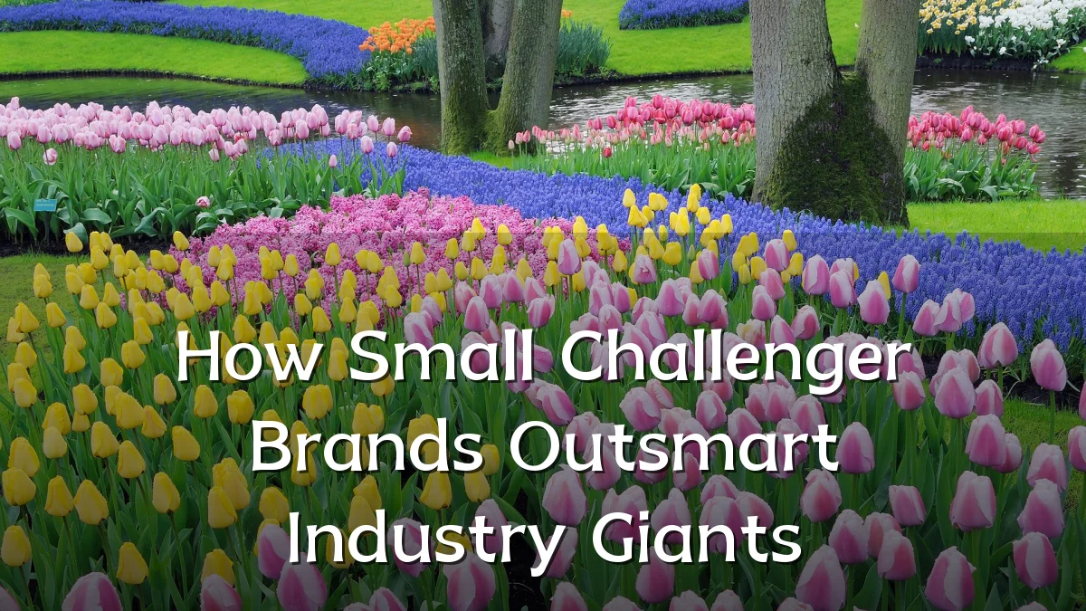 How Small Challenger Brands Outsmart Industry Giants