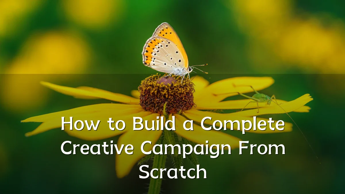 How to Build a Complete Creative Campaign From Scratch