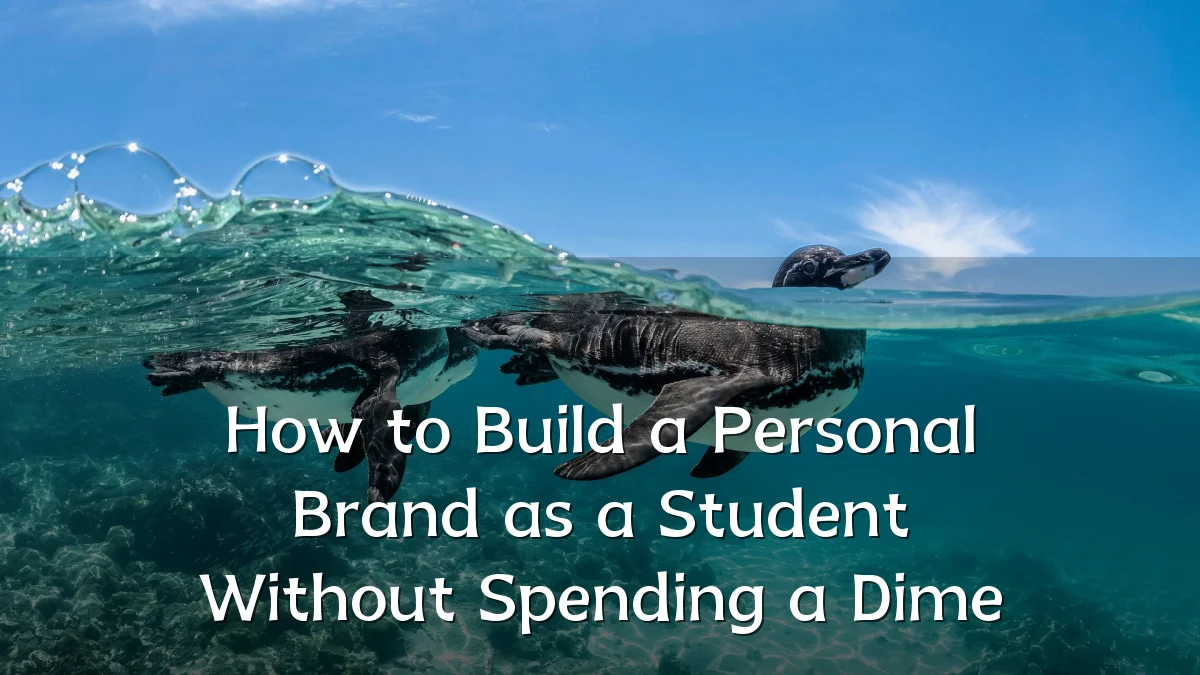 How to Build a Personal Brand as a Student Without Spending a Dime