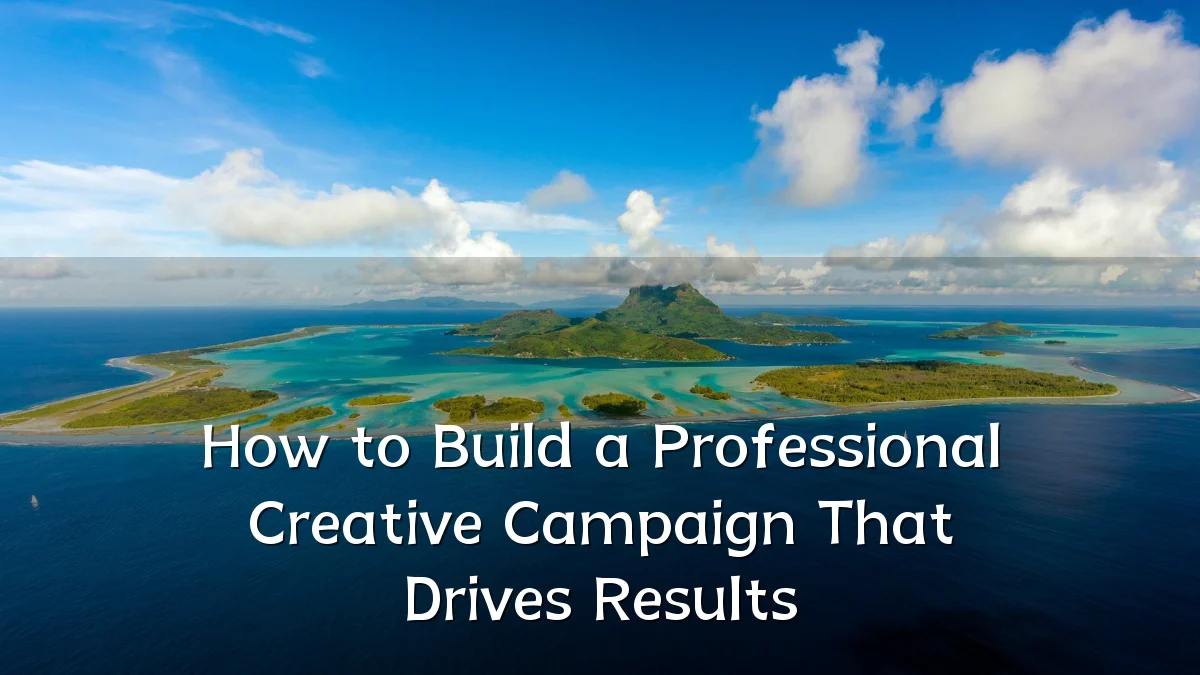 How to Build a Professional Creative Campaign That Drives Results