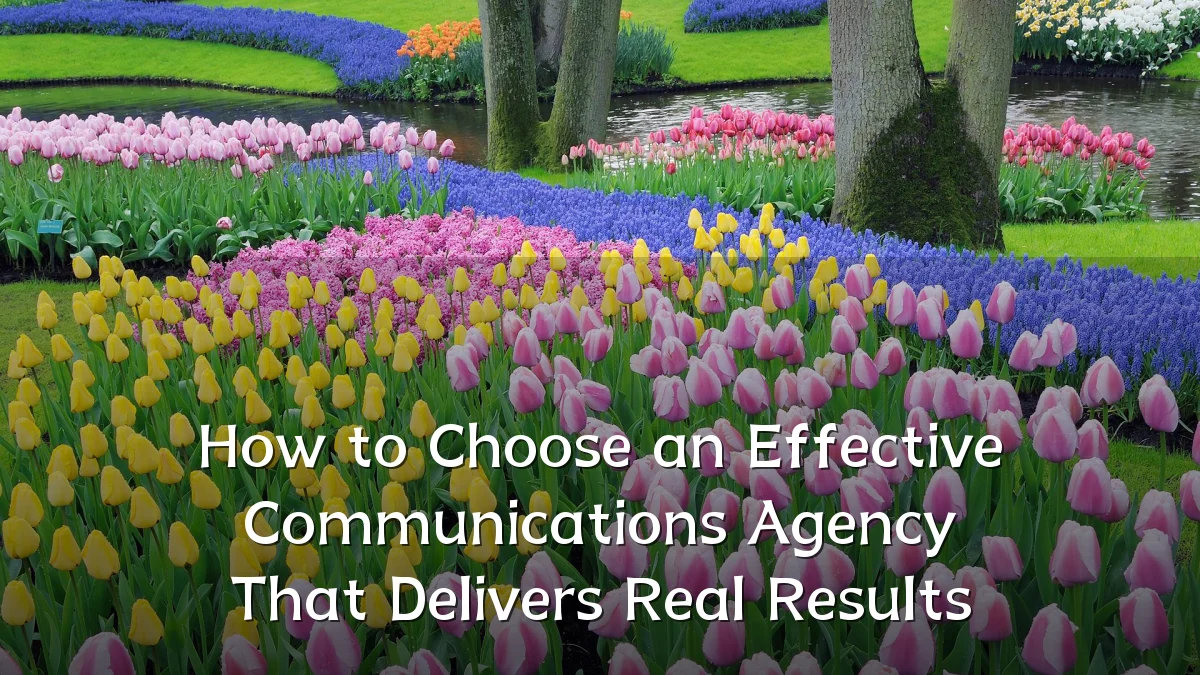 How to Choose an Effective Communications Agency That Delivers Real Results