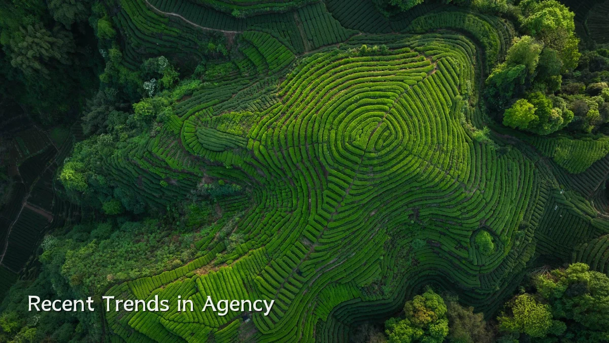 Recent Trends in Agency