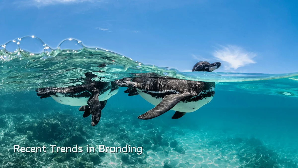 Recent Trends in Branding