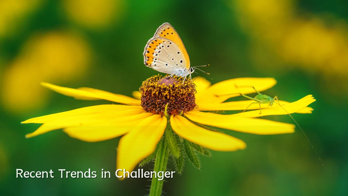 Recent Trends in Challenger