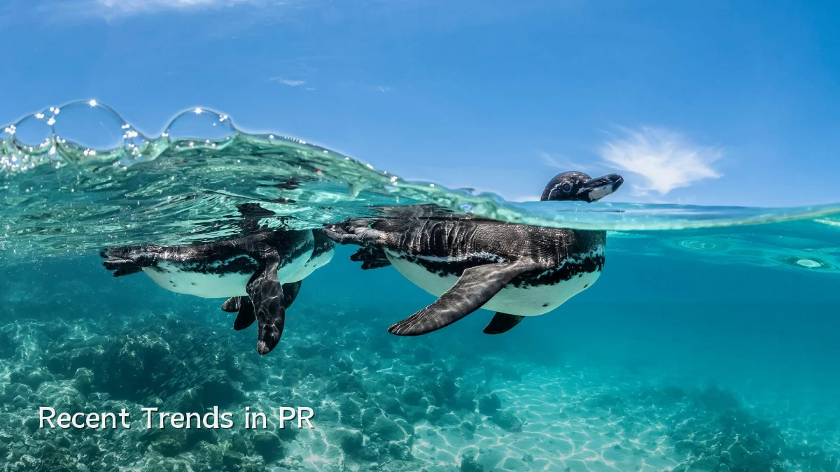 Recent Trends in PR