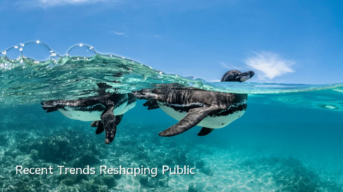 Recent Trends Reshaping Public