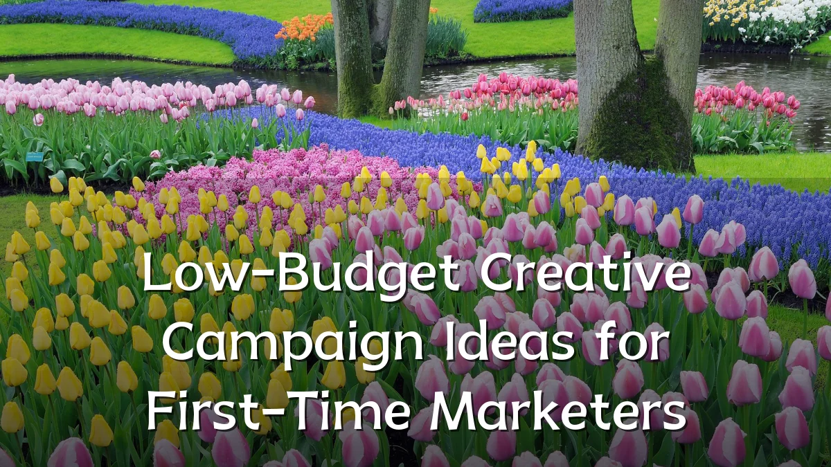 Low-Budget Creative Campaign Ideas for First-Time Marketers