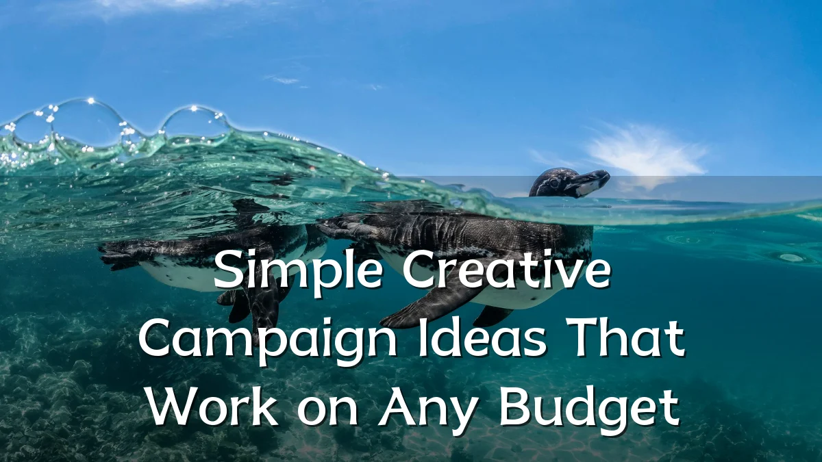 Simple Creative Campaign Ideas That Work on Any Budget