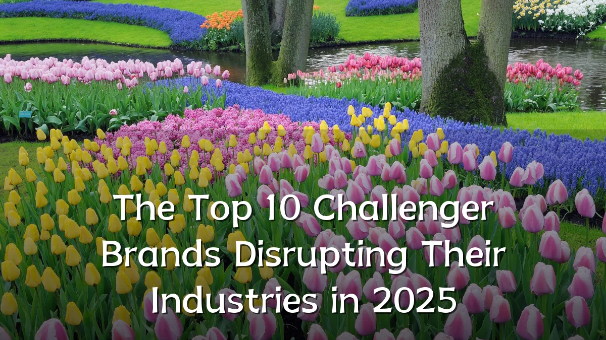 The Top 10 Challenger Brands Disrupting Their Industries in 2025