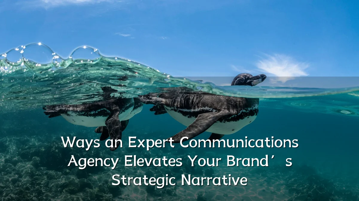 Ways an Expert Communications Agency Elevates Your Brand’s Strategic Narrative