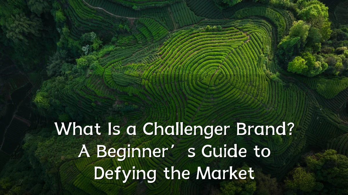 What Is a Challenger Brand? A Beginner’s Guide to Defying the Market