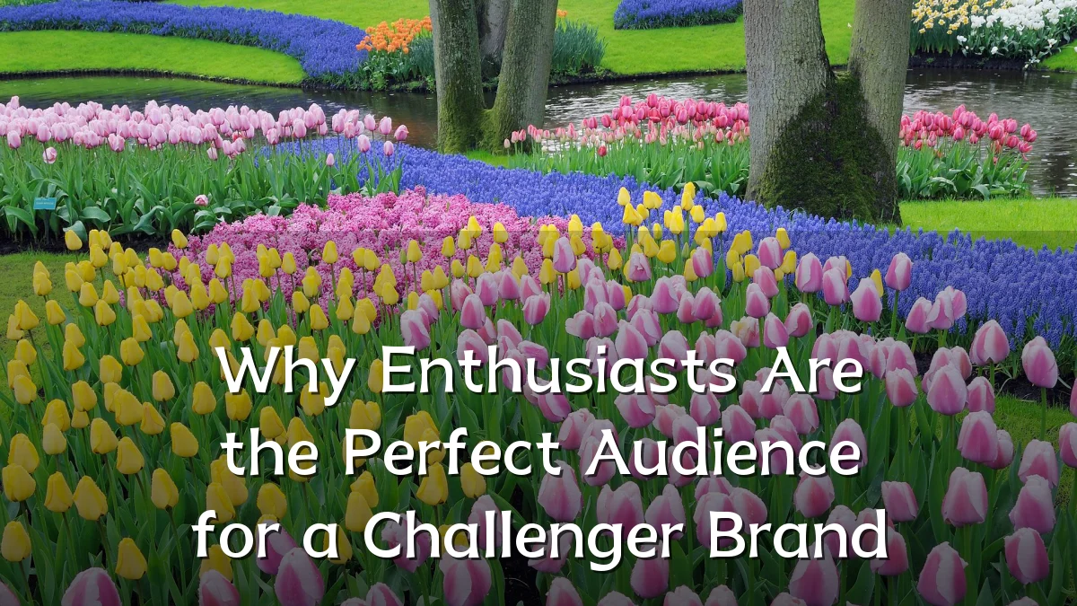 Why Enthusiasts Are the Perfect Audience for a Challenger Brand