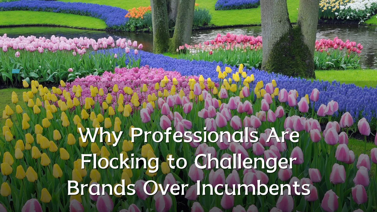 Why Professionals Are Flocking to Challenger Brands Over Incumbents